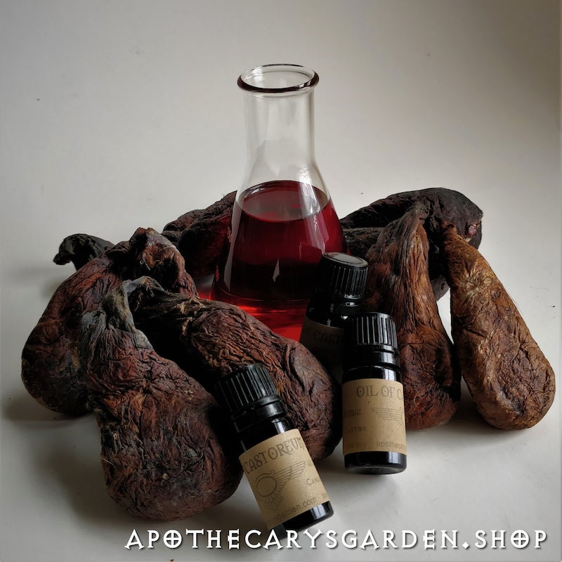 Castoroleum-Castoreum Oil