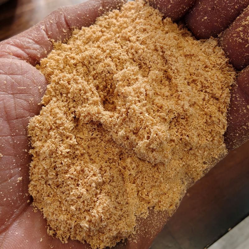 Cedar of Lebanon Shavings-Fresh