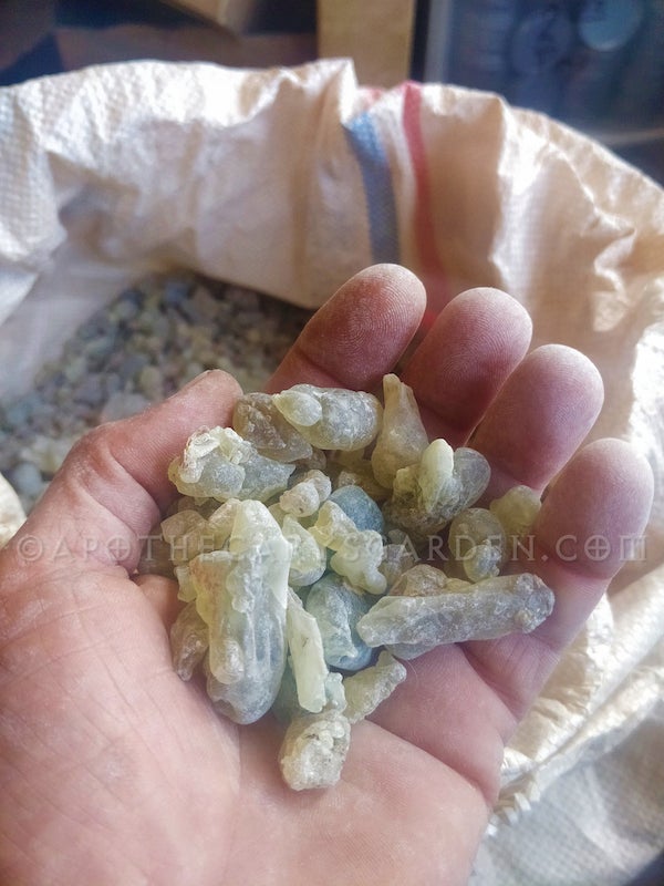 Communion Essential oil. A classic codistillation