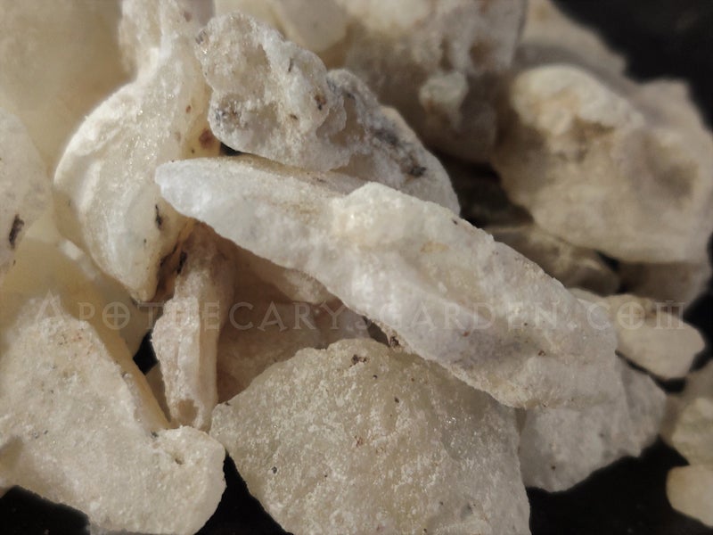 Copal Blanco Essential Oil