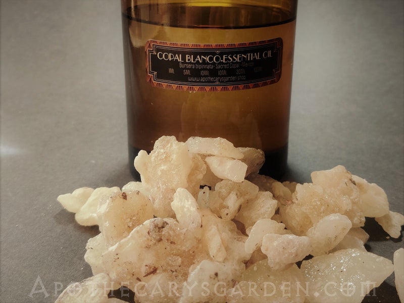 Copal Blanco Essential Oil