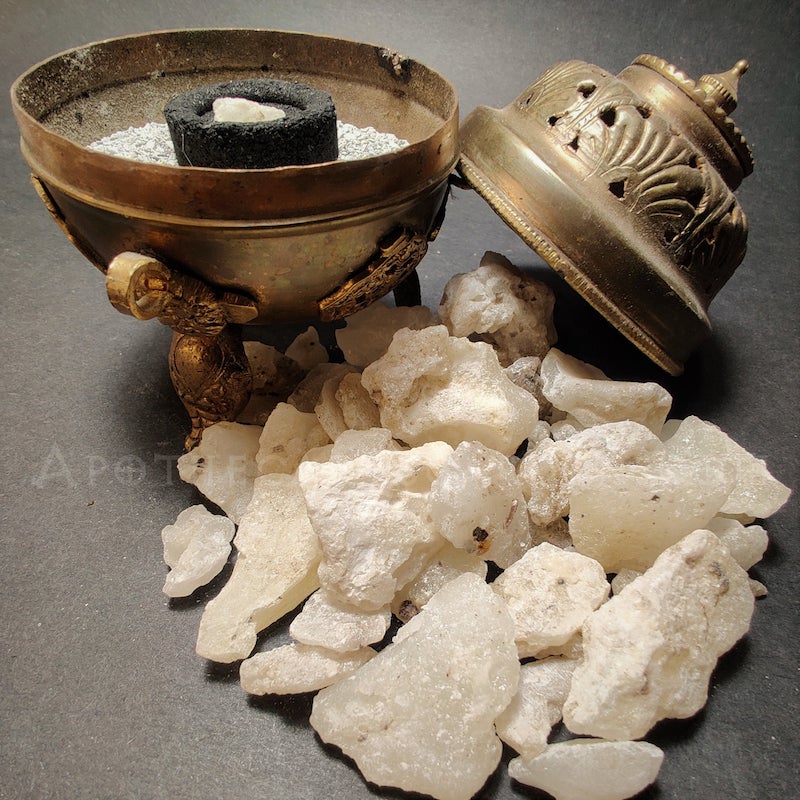 Liquid Copal Copal Blanco, Sacred Copal Mexico - Apothecary's Garden
