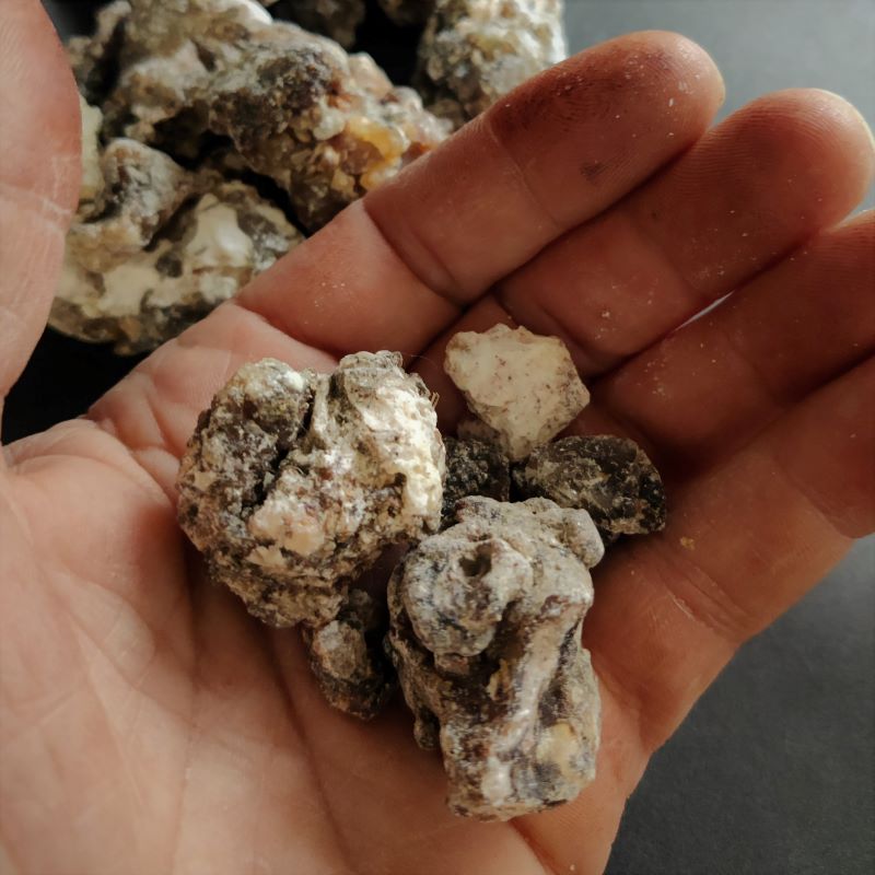 Copal Santo Resin