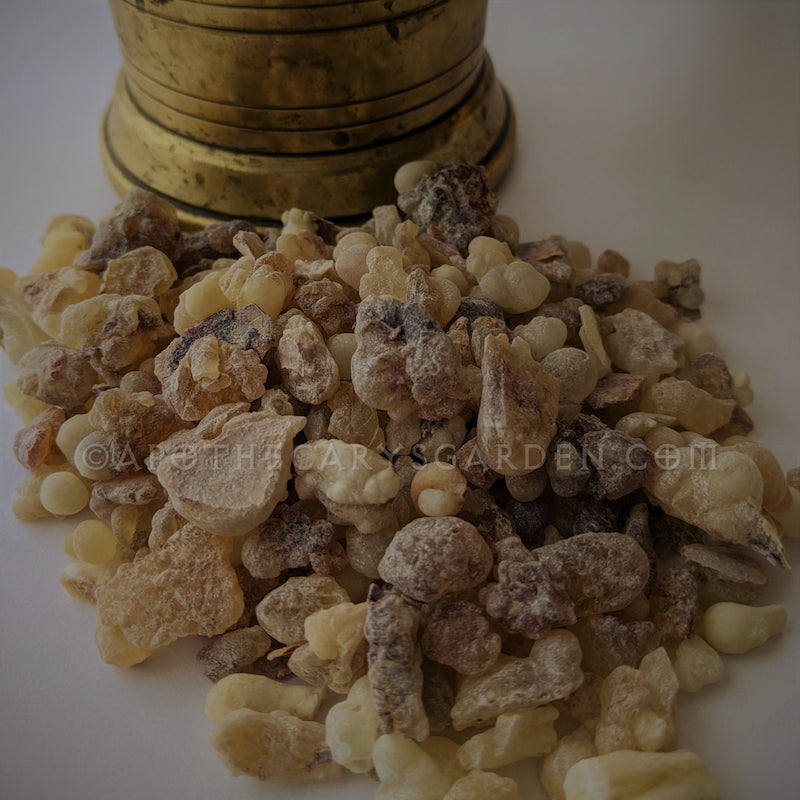Frankincense Carterii #1