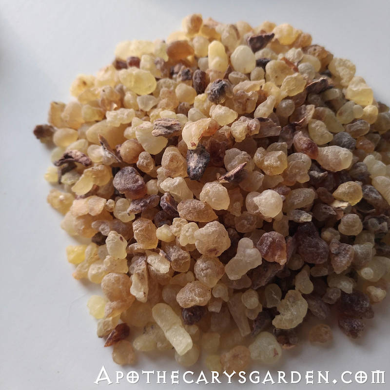 Frankincense Carterii Tincture