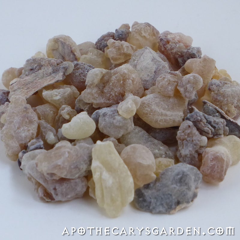 Frankincense Dalzielii
