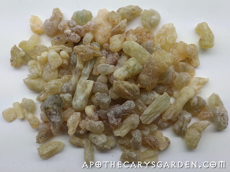Frankincense Dalzielii Essential oil