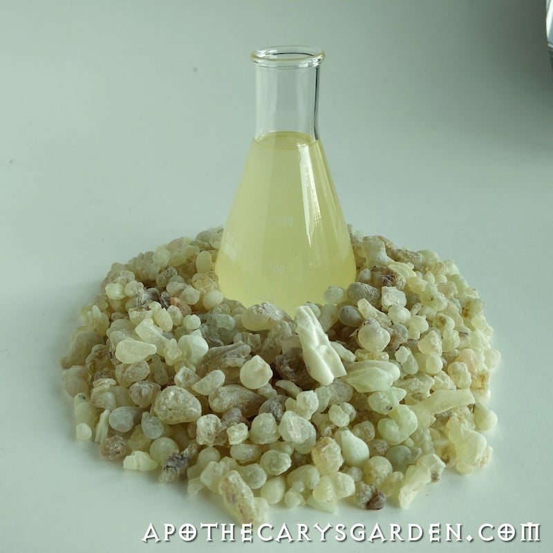 Frankincense Dalzielii Oleo extract