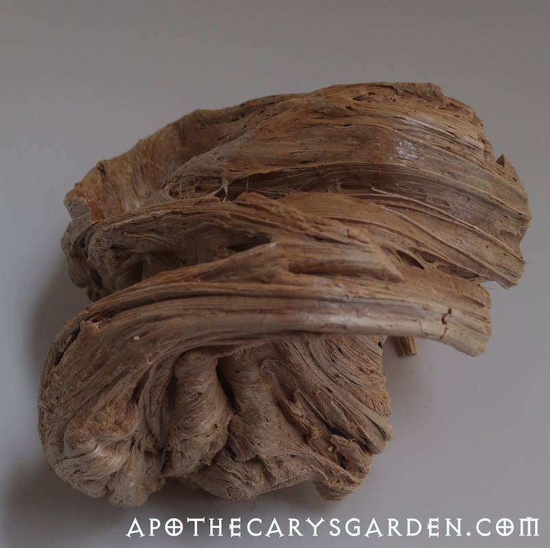 Frankincense Frereana Resin Extract