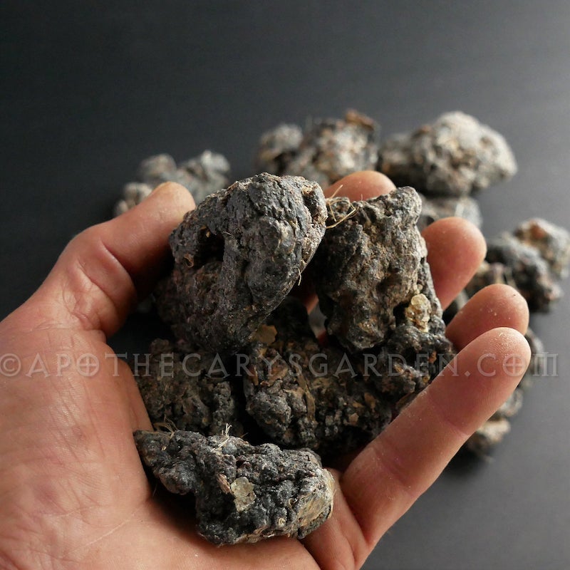 Frankincense Neglecta Oleo Extract