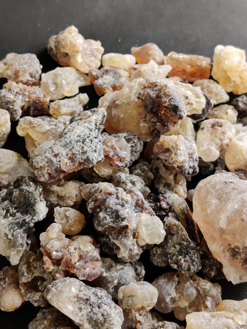 Frankincense Neglecta White