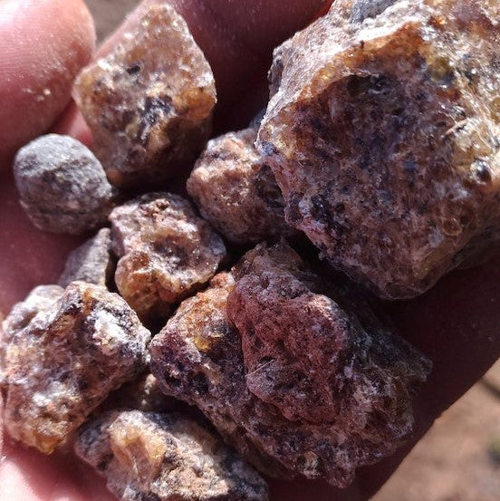 Frankincense Neglecta-Thurimel