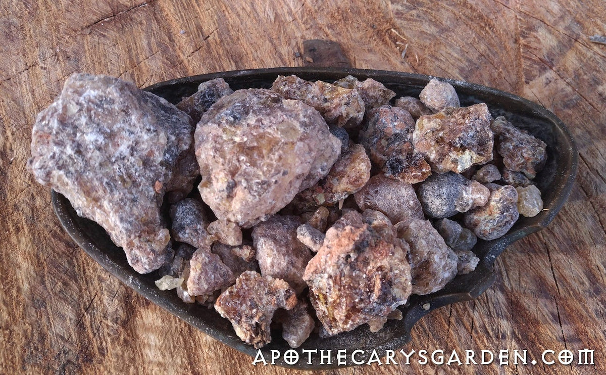 Frankincense Neglecta-Thurimel