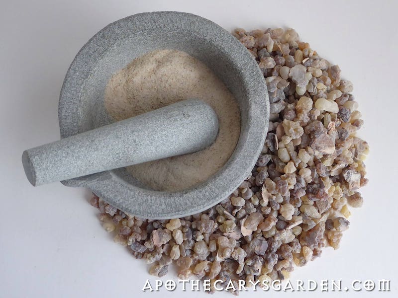 Frankincense Papyrifera