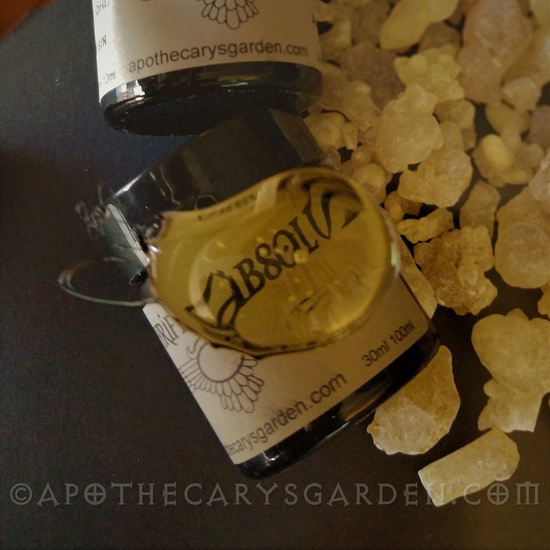Frankincense Papyrifera Absolute