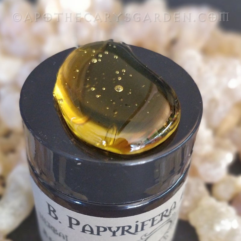 Frankincense Papyrifera Absolute