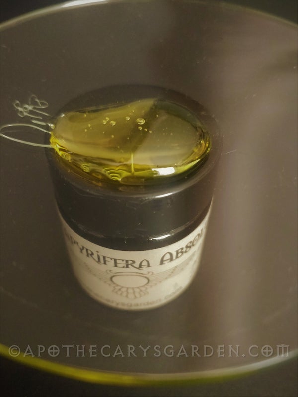 Frankincense Papyrifera Absolute