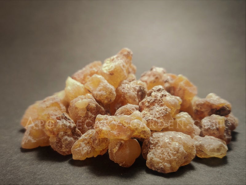 Frankincense Papyrifera Sudan Supergrade-Back in Stock!