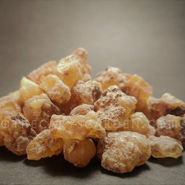 Frankincense Papyrifera Sudan Supergrade-Back in Stock!