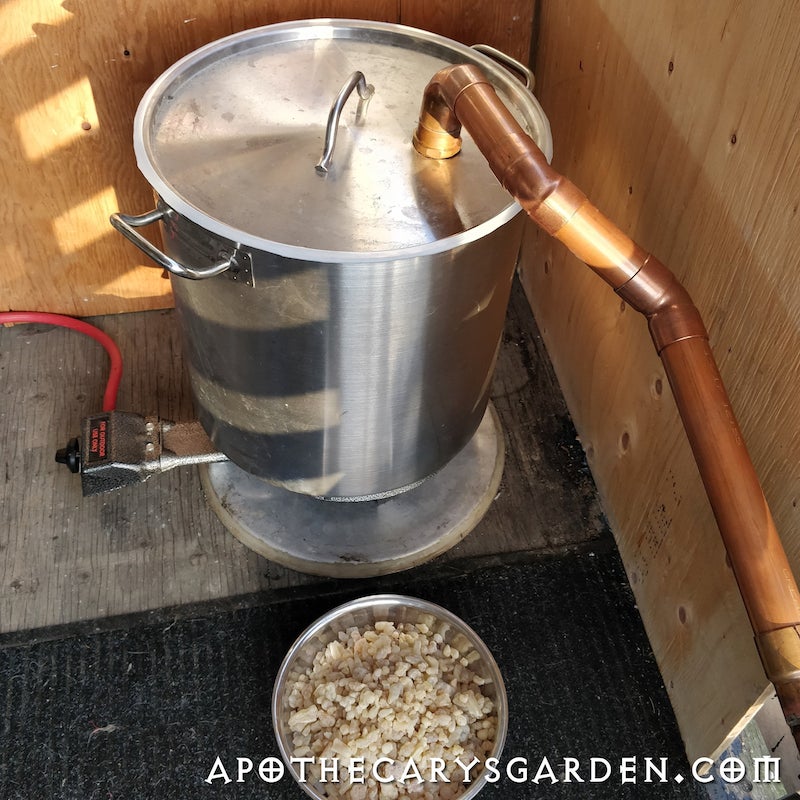 Frankincense Royal Green Hojari Resin Extract