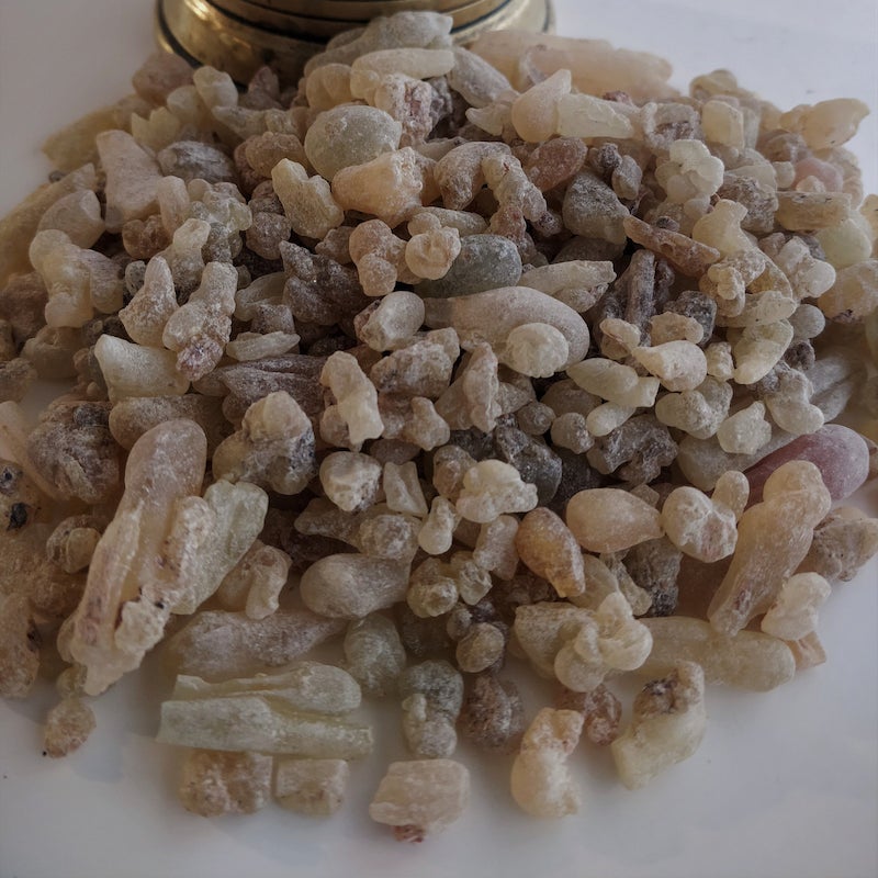 Frankincense Sacra Oman