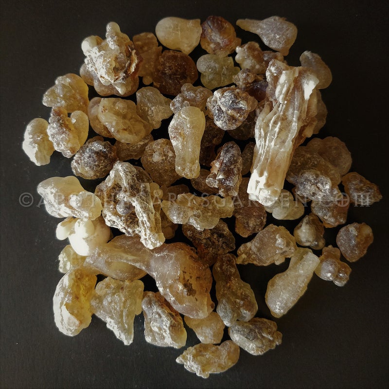 Frankincense Sacra Resin Extract