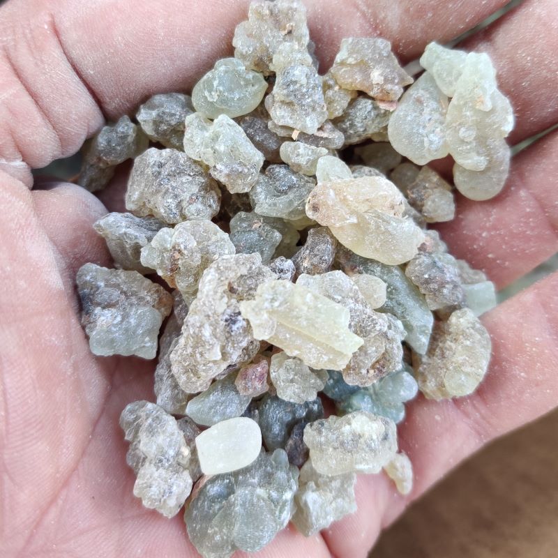 Frankincense Serrata