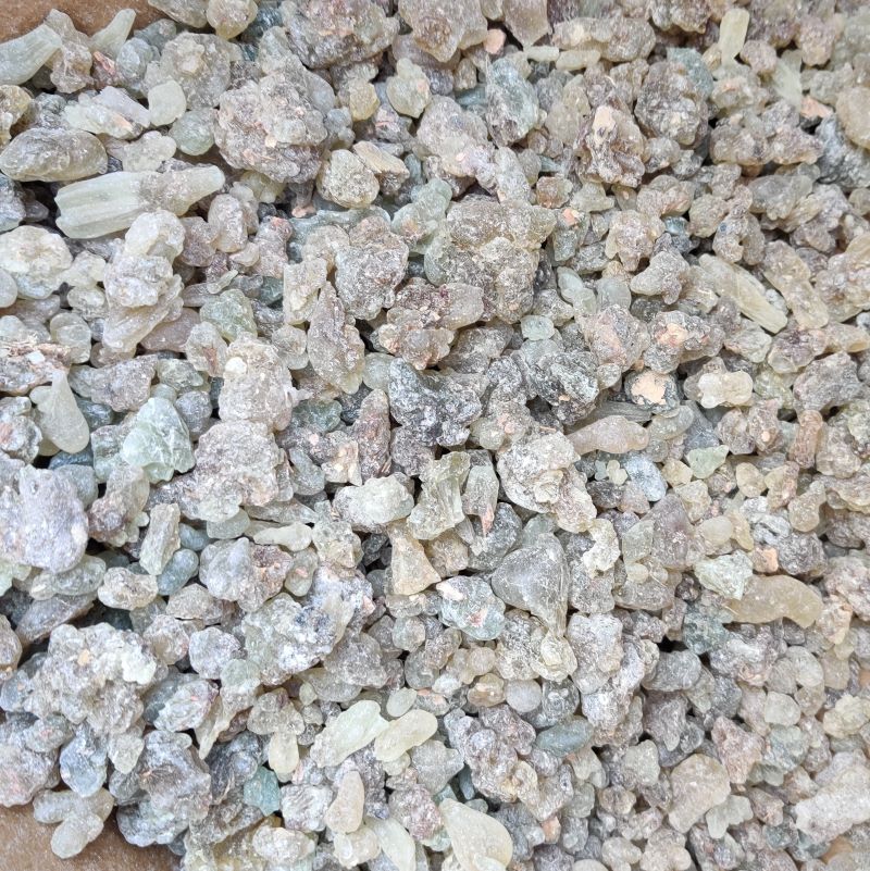 Frankincense Serrata Oleo Extract