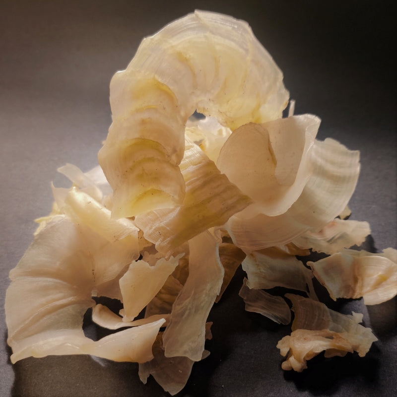 Gum Tragacanth-Grade B
