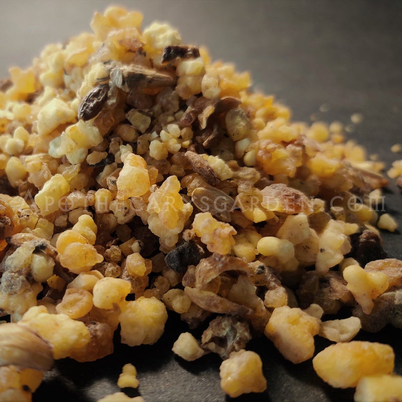 Galbanum Seeds-A Gift