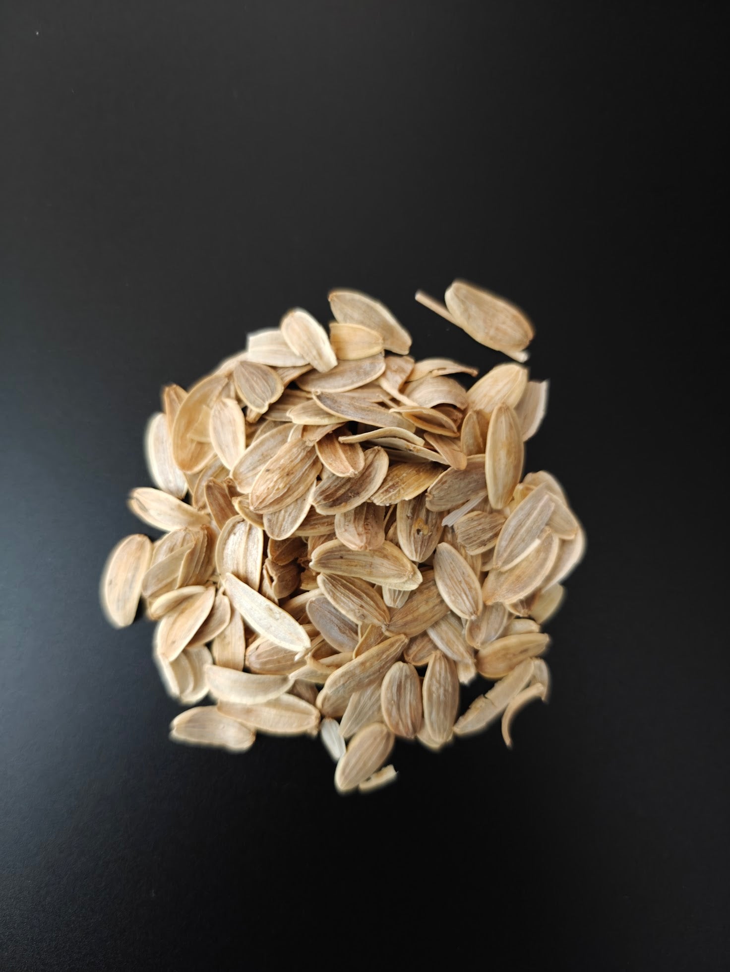 Galbanum Seeds-Ferula Gummosa