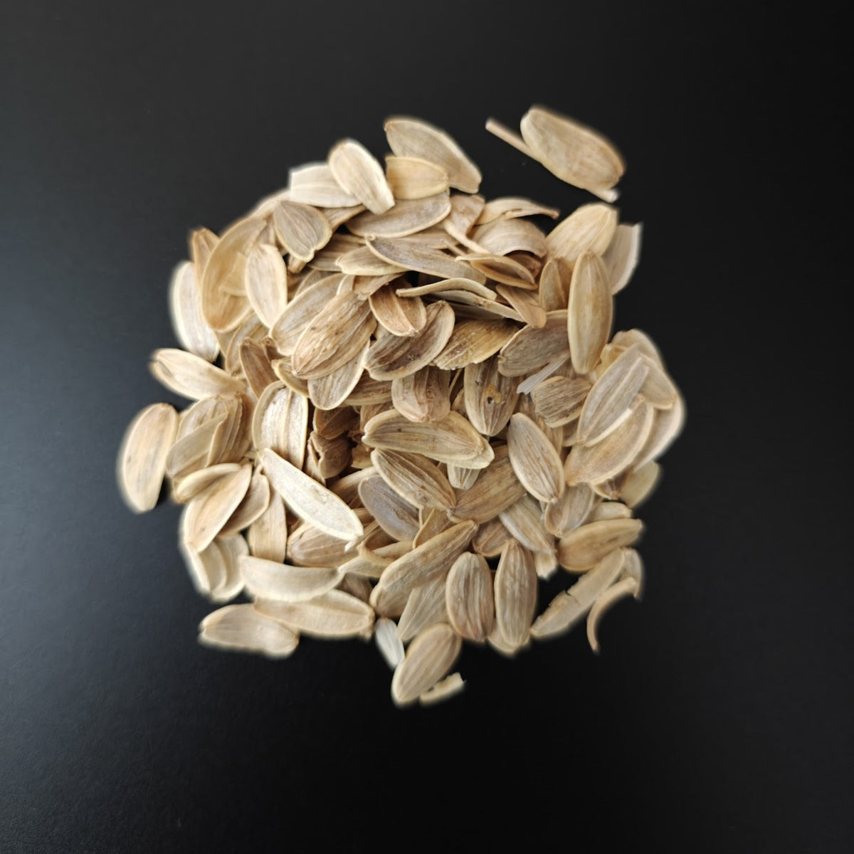 Galbanum Seeds-Ferula Gummosa