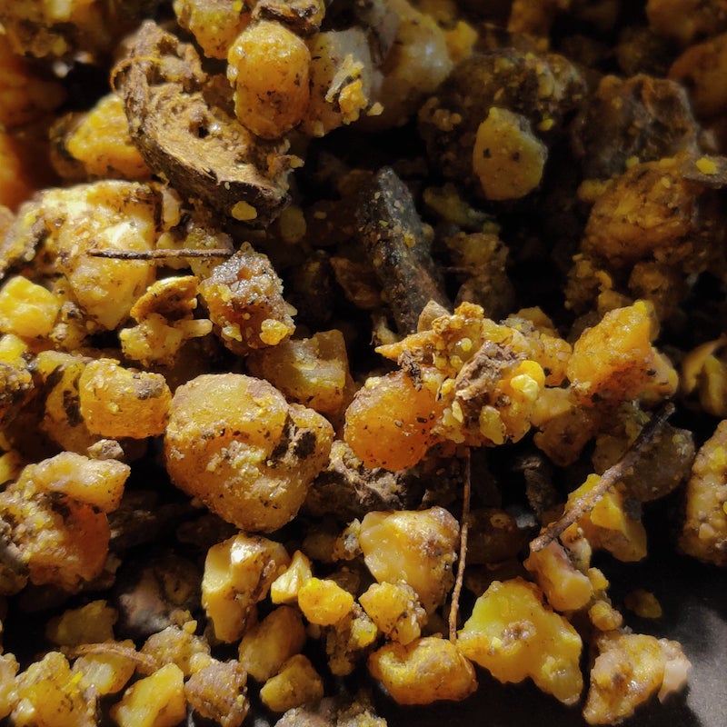 Galbanum Tears