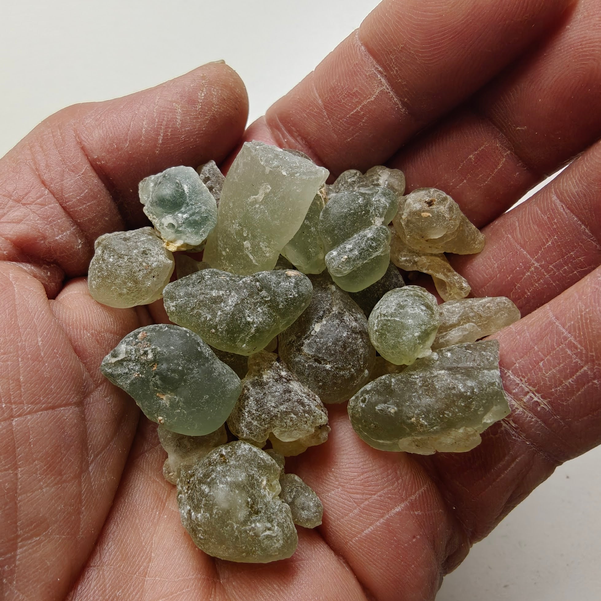 Green Frankincense Dalzielii RARE