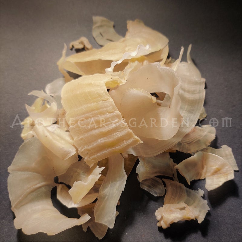 Gum Tragacanth-Grade A+