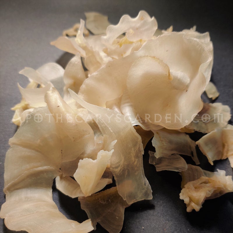 Gum Tragacanth-Grade A+