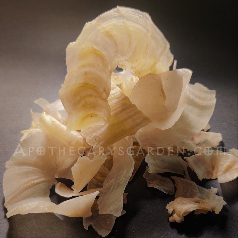 Gum Tragacanth-Grade A+