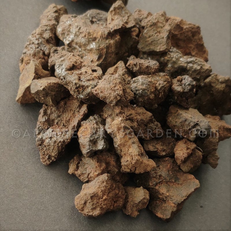 Hyraceum Powder