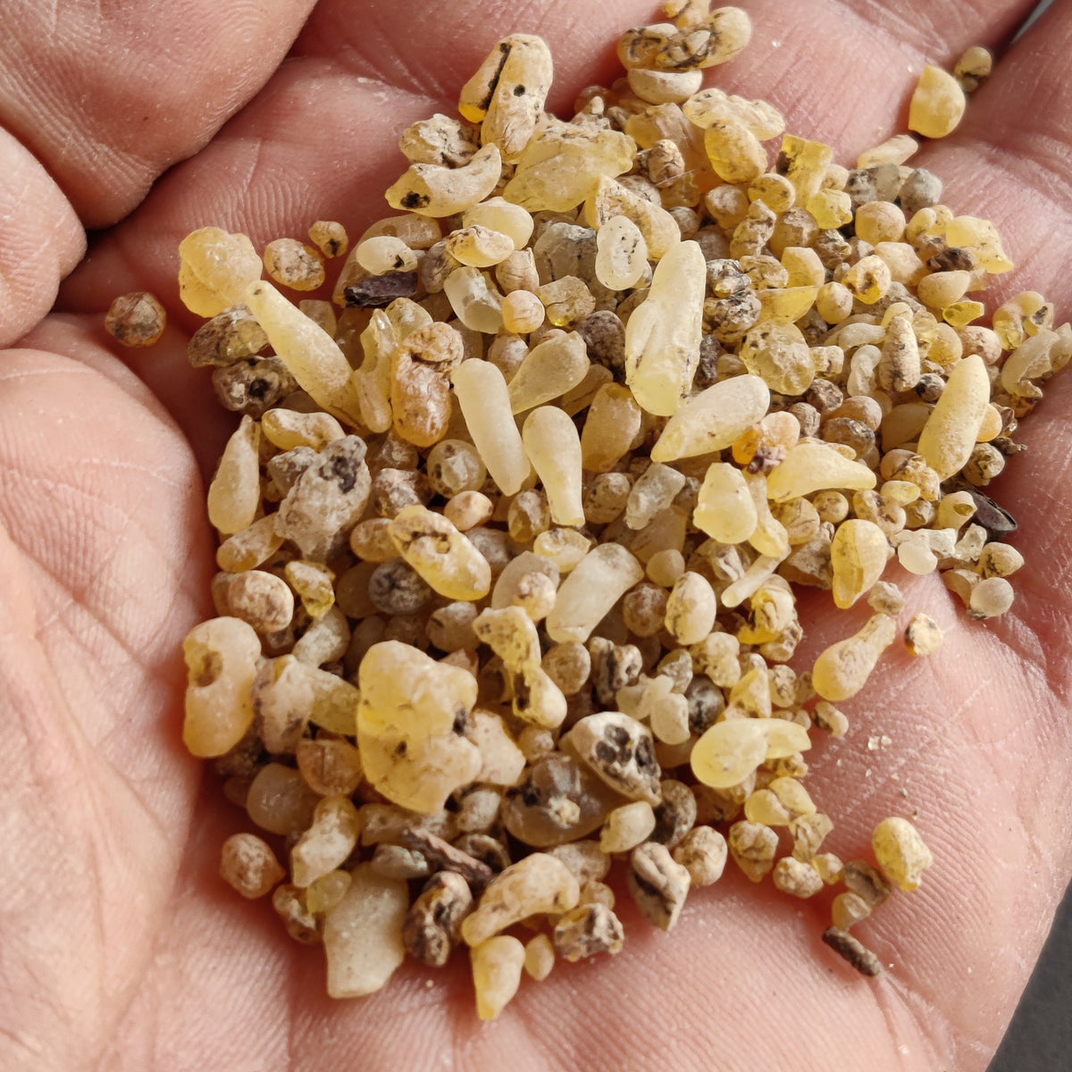 Cypress Resin Tears