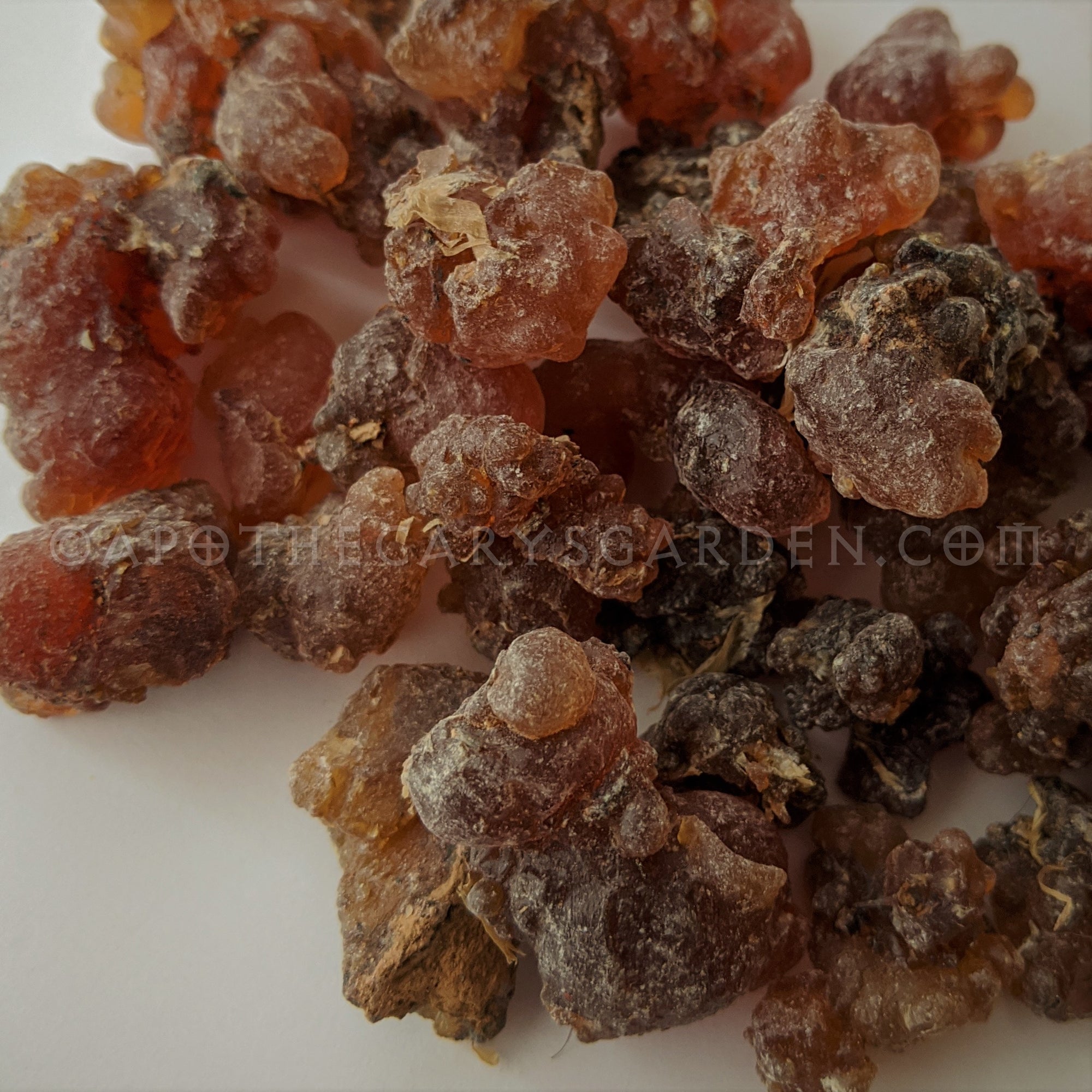 Kua Myrrh-Perfumed Myrrh-Commiphora Kua-Scented Myrrh