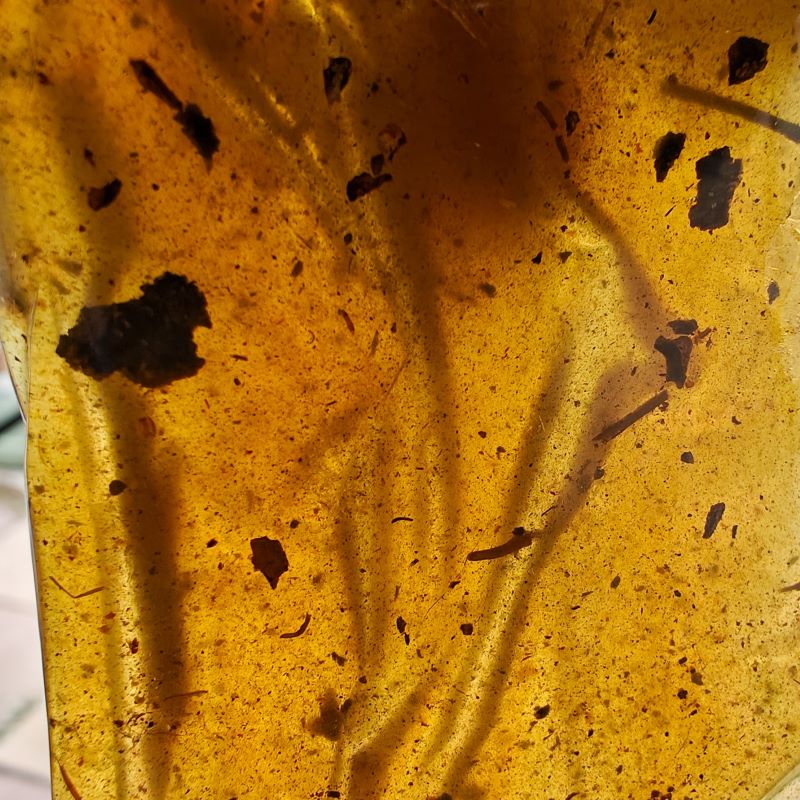 Khinjuk Mastic Essential Oil-RARE!-Smooth sweet and enchanting!!