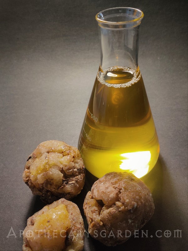 Madagascar Elemi Oleo-extract
