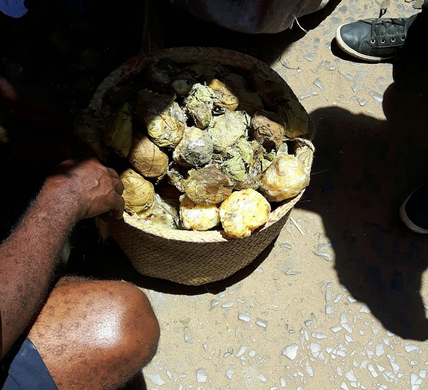 Madagascar Elemi resin