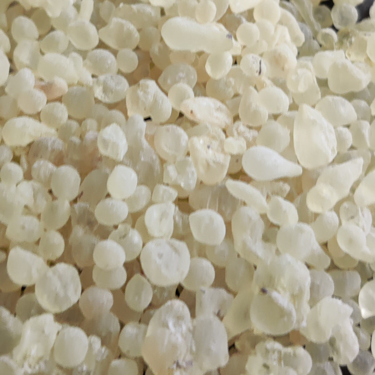 Mastic Chios-GRADE A+