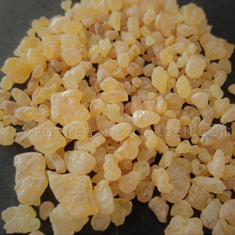 Mastic Chios Grade B