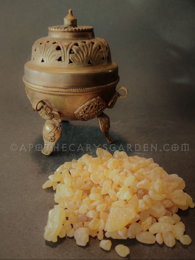 Mastic Chios Grade B