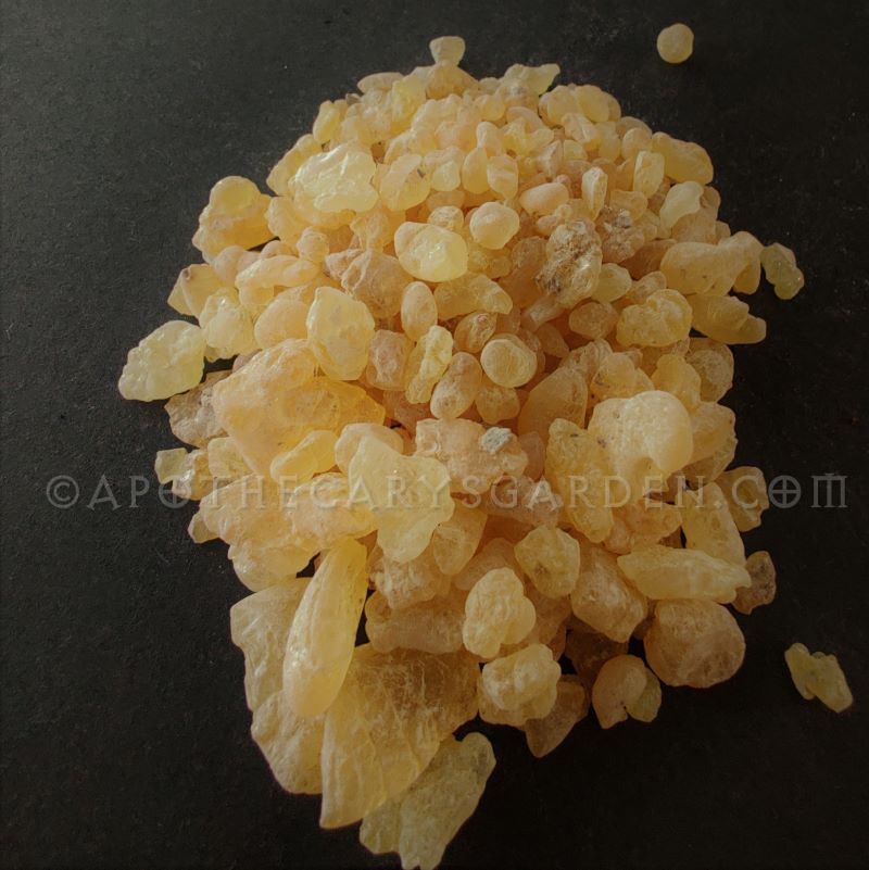 Mastic Chios Grade B