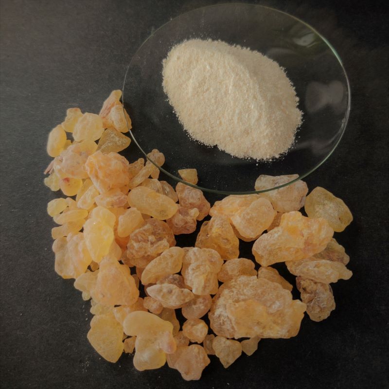 Mastic Chios Resin Extract