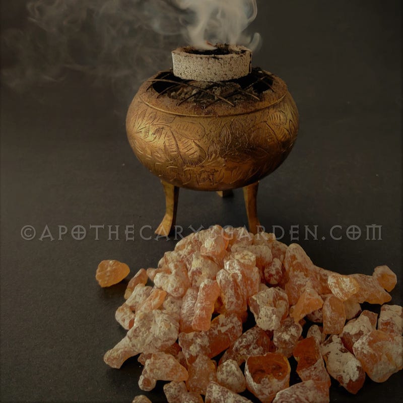 Liquid Copal Mexican Copal - Apothecary's Garden