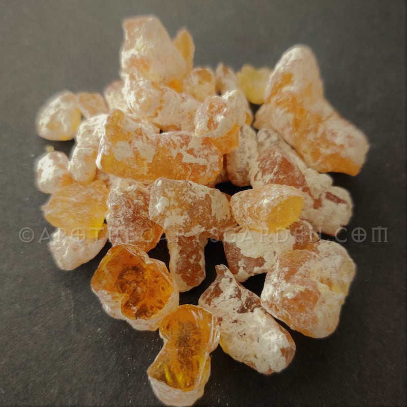 Mexican Copal Powder